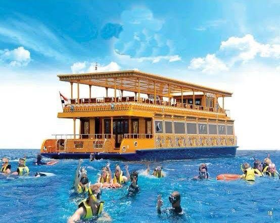 WhatsApp Image 2025-11-04 at 12.56.33 AM (1)