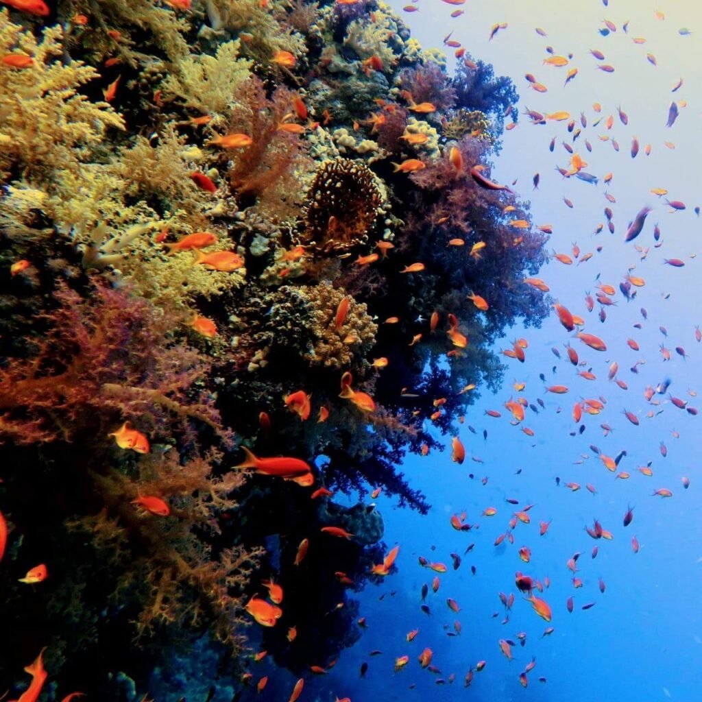 WhatsApp Image 2025-11-04 at 12.56.34 AM