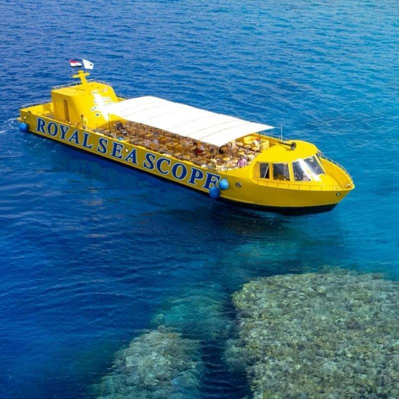 WhatsApp Image 2025-11-04 at 12.59.55 AM (3)