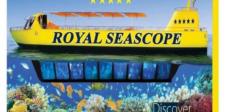 WhatsApp Image 2025-11-04 at 12.59.56 AM (2)