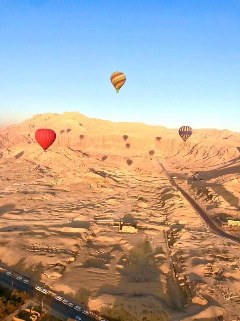 WhatsApp Image 2025-11-15 at 10.24.01 PM