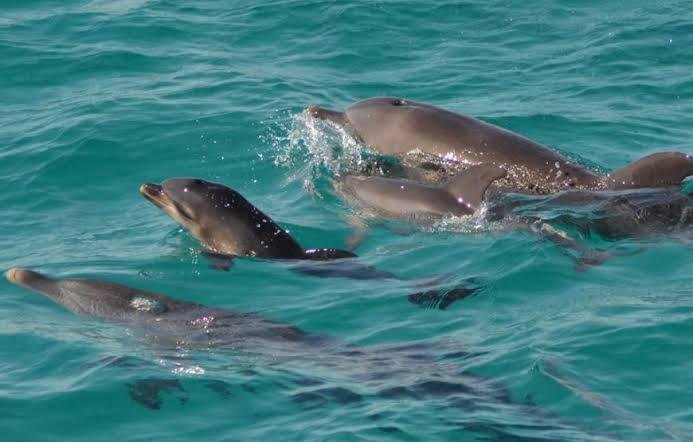 WhatsApp Image 2025-11-16 at 2.08.52 AM