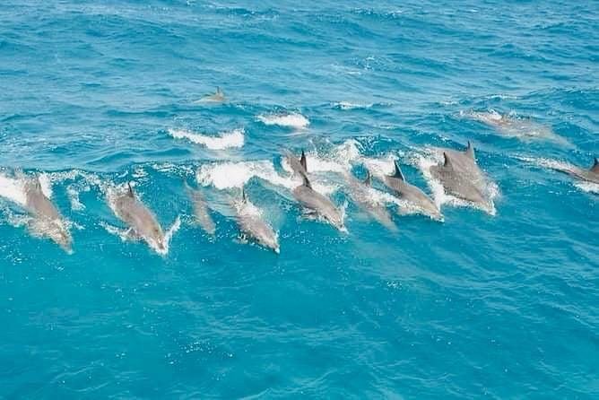 WhatsApp Image 2025-11-16 at 2.08.55 AM (1)