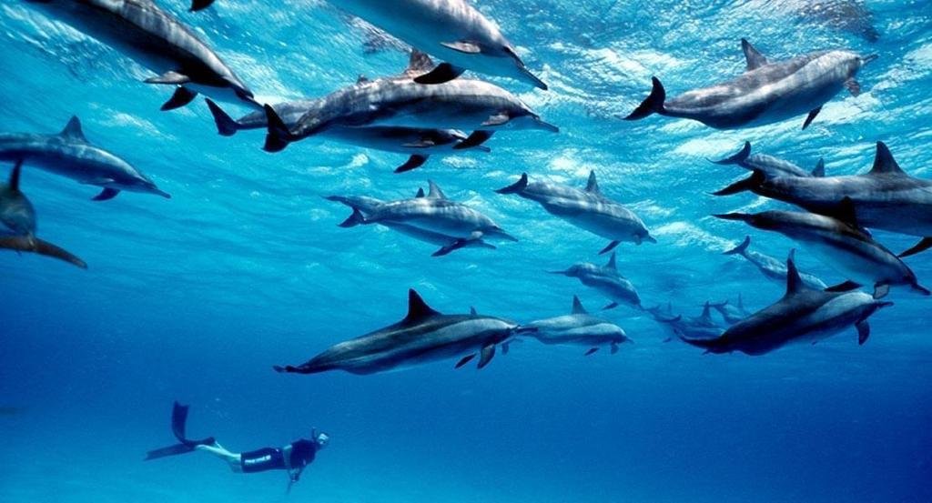 WhatsApp Image 2025-11-16 at 2.08.56 AM