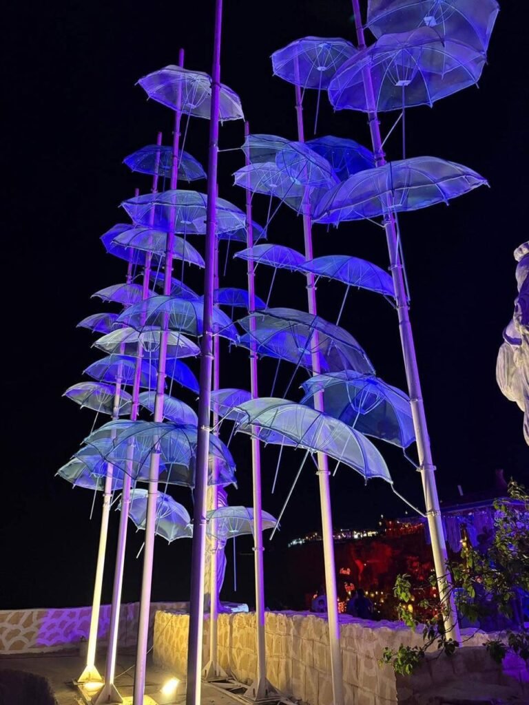 WhatsApp Image 2025-11-24 at 11.18.19 PM