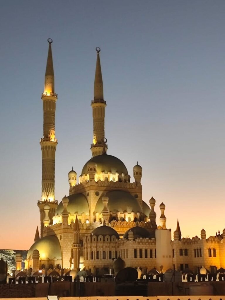 WhatsApp Image 2025-11-24 at 11.19.18 PM