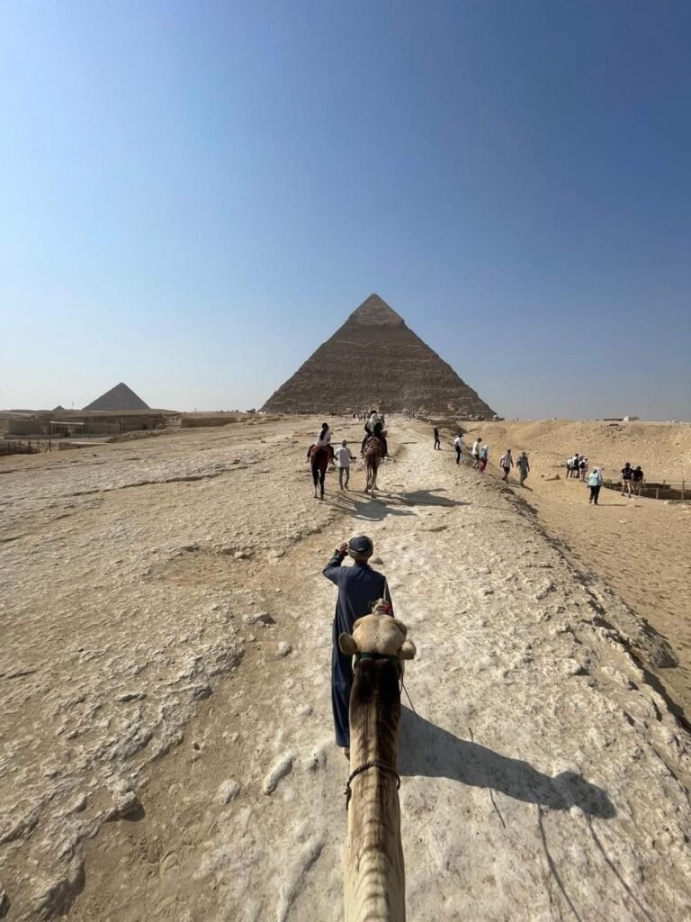 WhatsApp Image 2025-11-24 at 5.40.44 PM