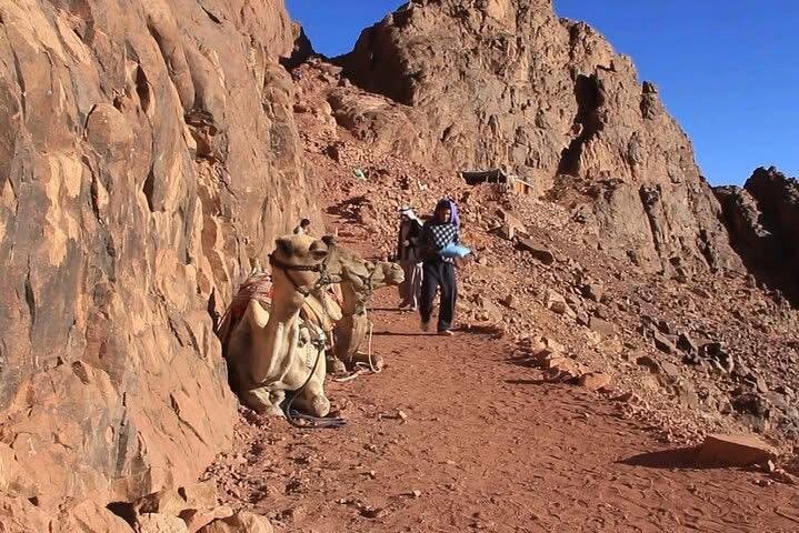 WhatsApp Image 2025-11-25 at 1.38.01 AM (1)