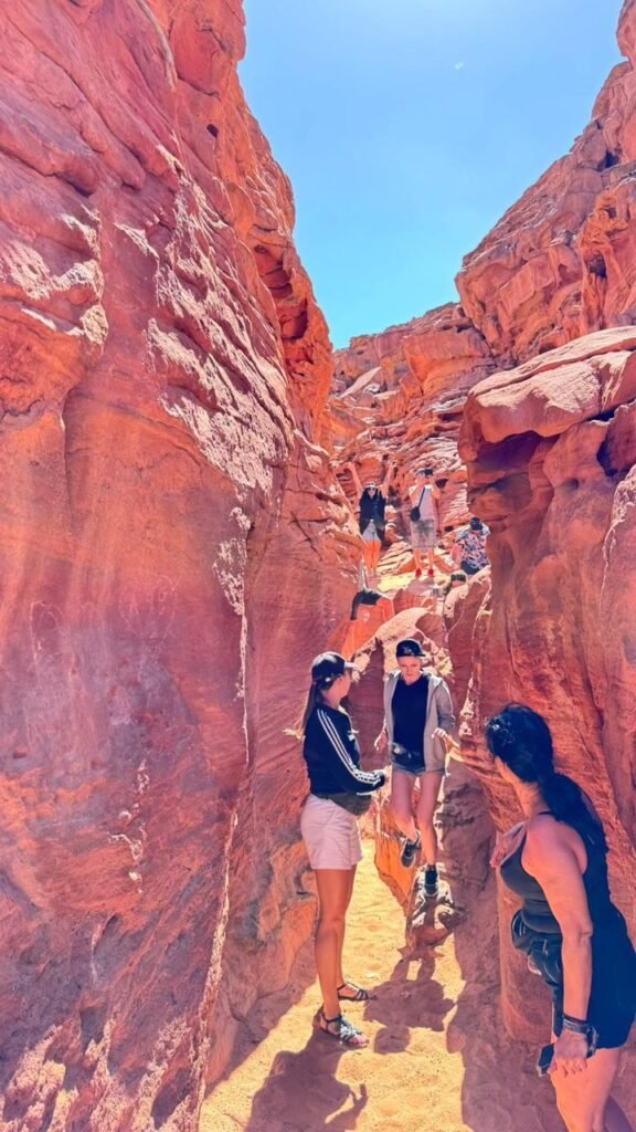 WhatsApp Image 2025-11-25 at 1.41.59 AM (1)