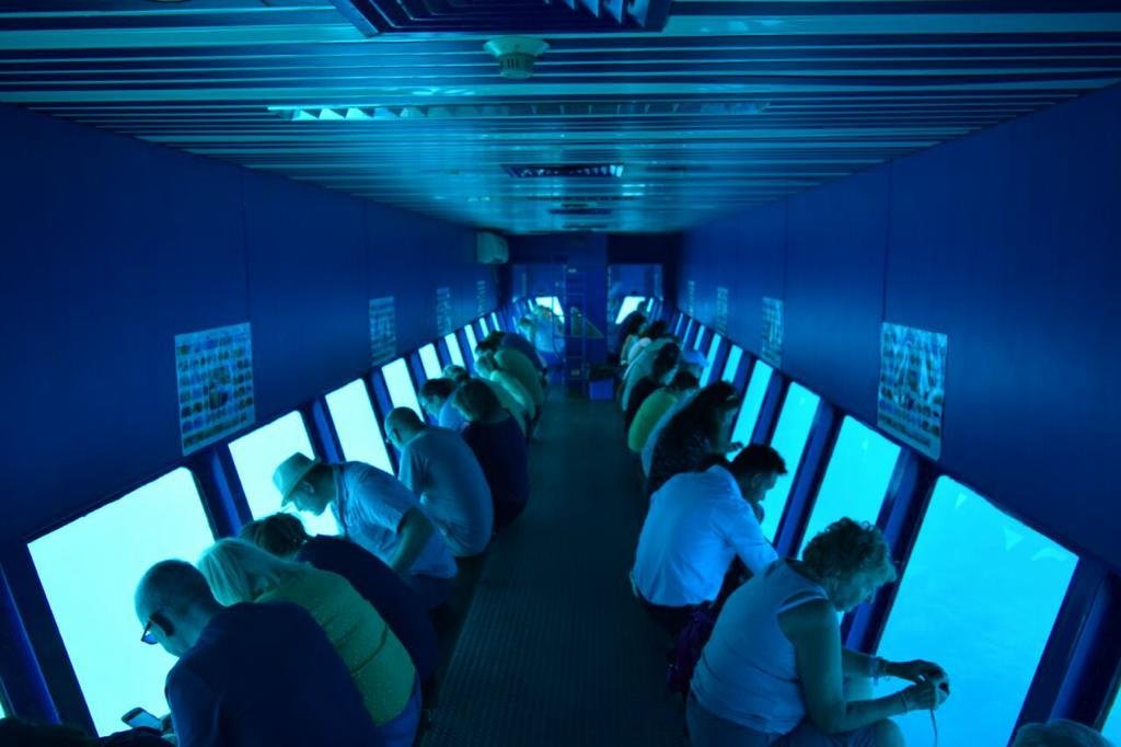 WhatsApp Image 2025-11-25 at 1.53.22 AM