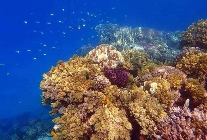 WhatsApp Image 2025-11-25 at 1.53.25 AM (2)