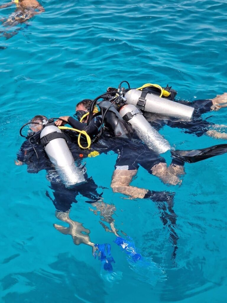 WhatsApp Image 2025-11-25 at 2.31.11 AM (2)