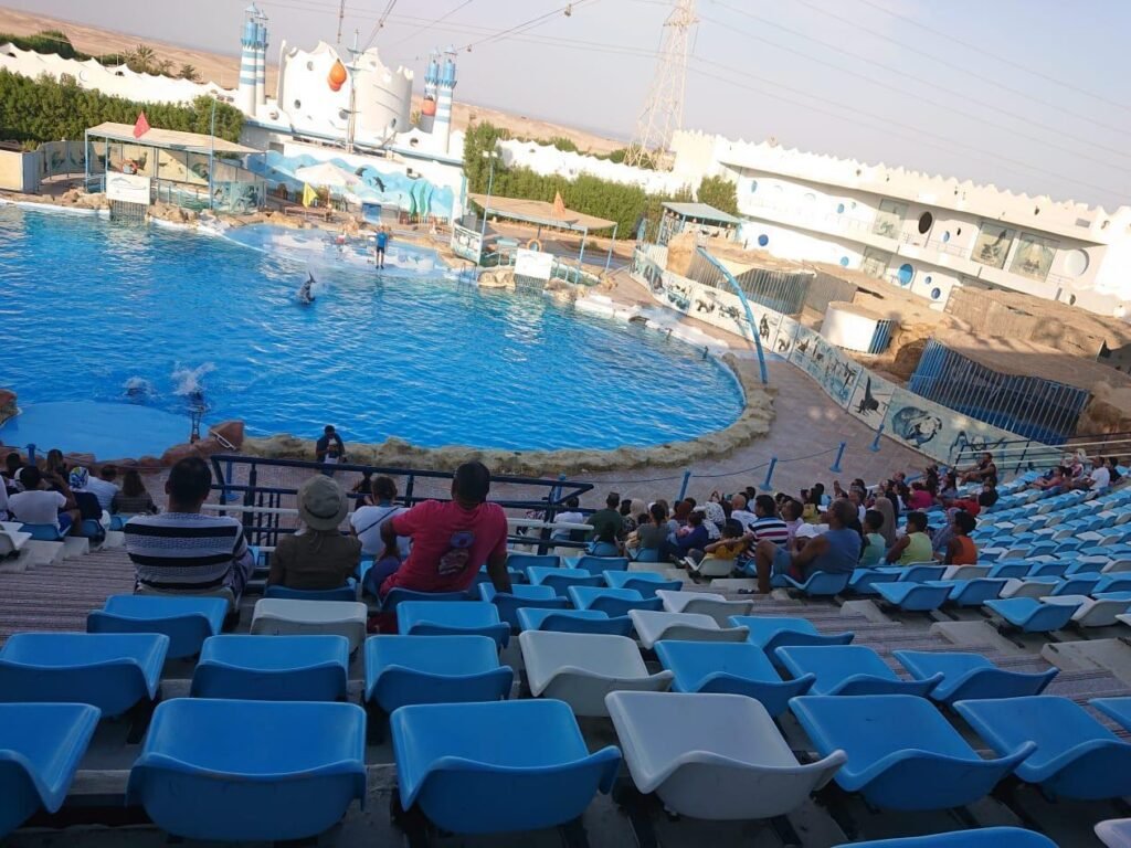 WhatsApp Image 2025-11-25 at 3.42.01 PM (2)