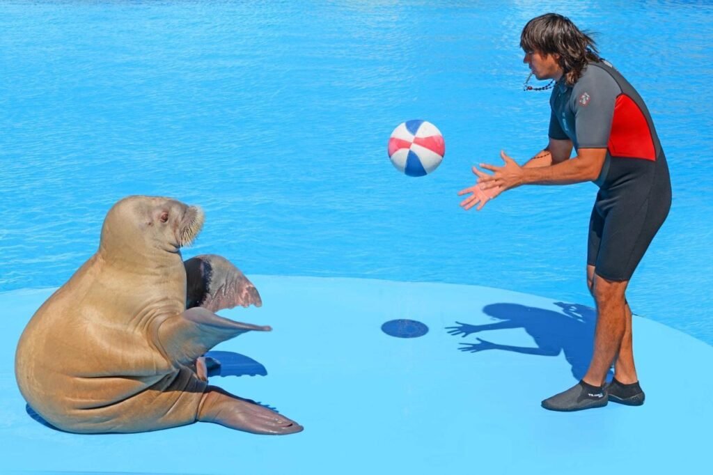 WhatsApp Image 2025-11-25 at 3.42.03 PM (1)