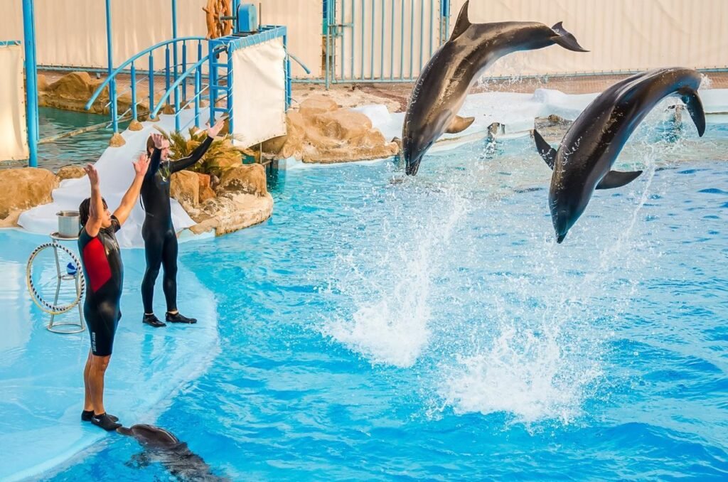 WhatsApp Image 2025-11-25 at 3.42.15 PM (3)