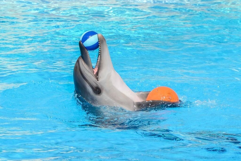 WhatsApp Image 2025-11-25 at 3.42.17 PM