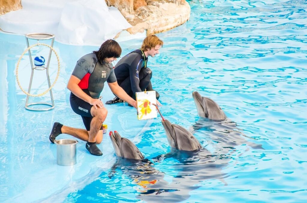 WhatsApp Image 2025-11-25 at 3.42.17 PM (2)