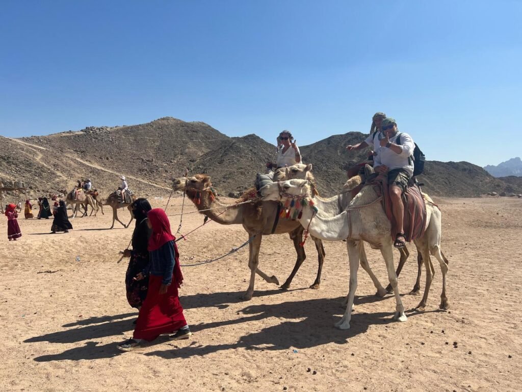 WhatsApp Image 2025-11-25 at 5.14.09 PM