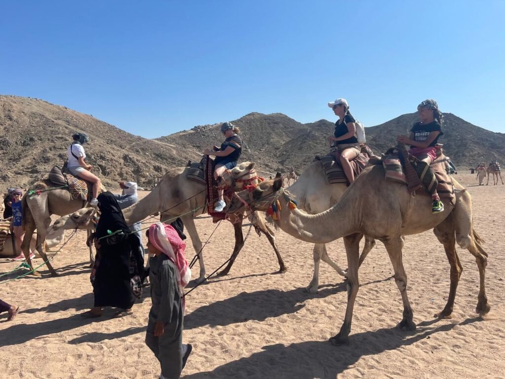 WhatsApp Image 2025-11-25 at 5.14.10 PM