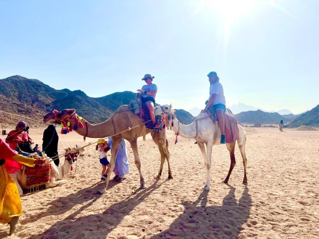 WhatsApp Image 2025-11-25 at 5.14.10 PM (2)