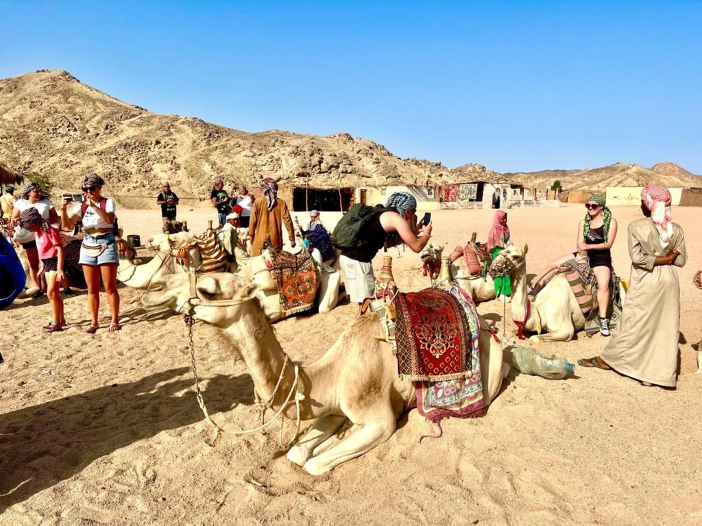 WhatsApp Image 2025-11-25 at 5.14.10 PM (3)