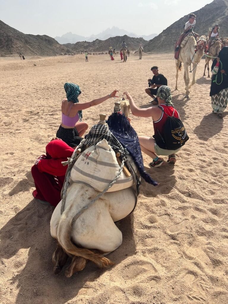 WhatsApp Image 2025-11-25 at 5.20.17 PM (4)