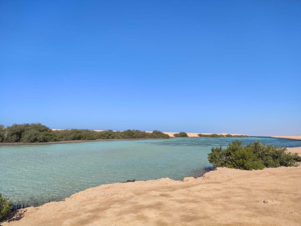 WhatsApp Image 2025-11-25 at 5.50.57 PM (1)