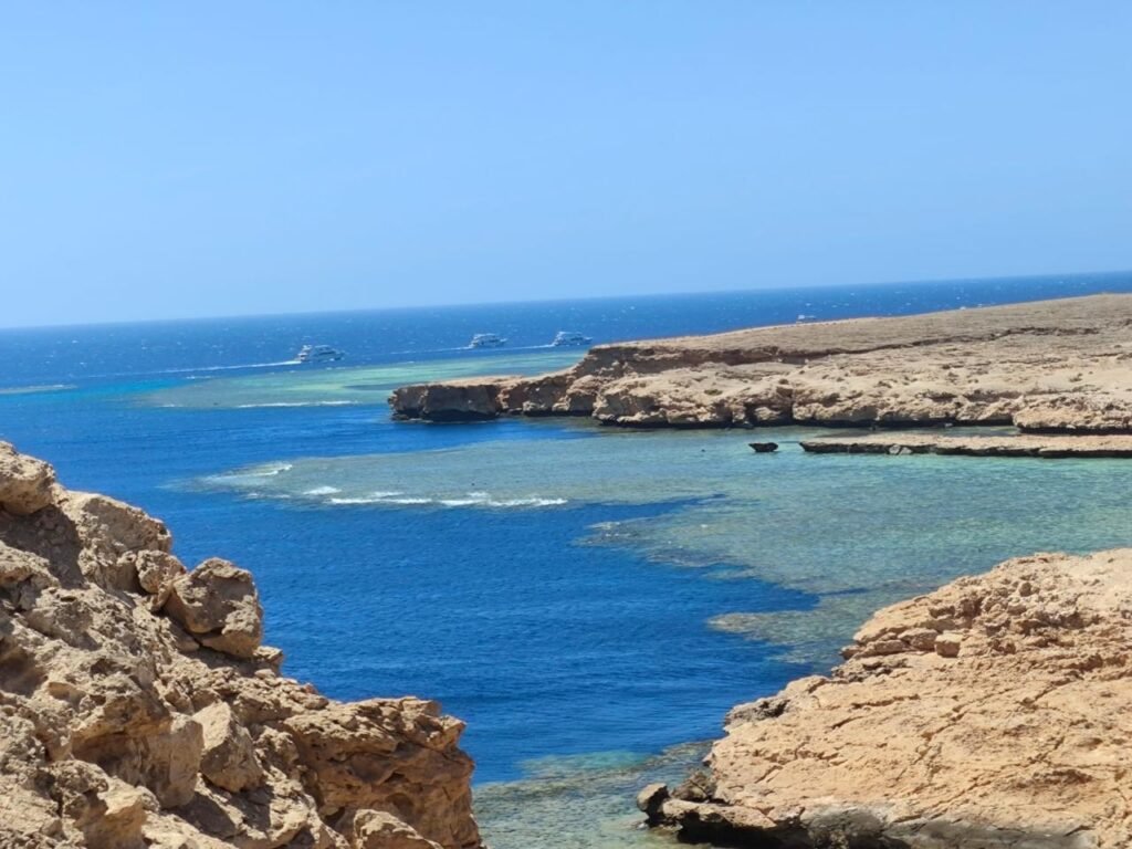 WhatsApp Image 2025-11-25 at 5.50.59 PM (2)