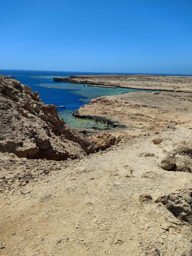 WhatsApp Image 2025-11-25 at 5.51.00 PM (2)