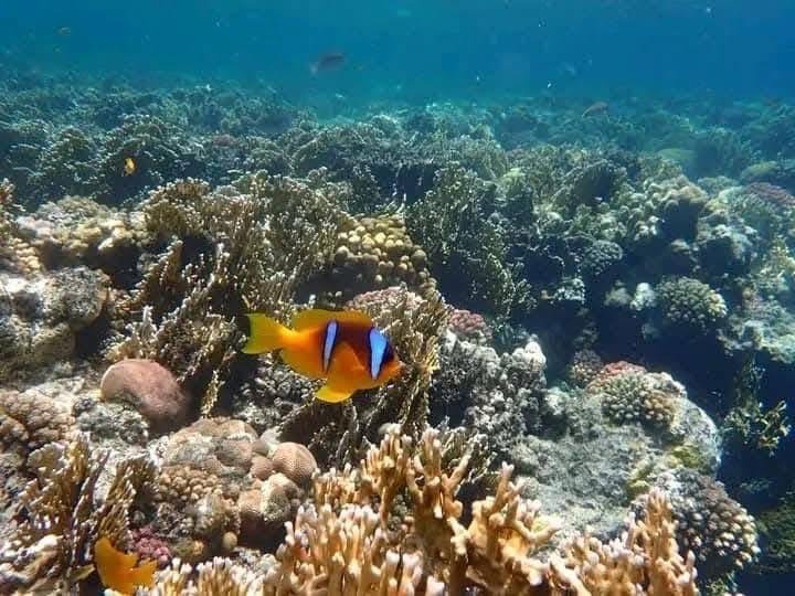 WhatsApp Image 2025-11-25 at 5.51.01 PM (1)