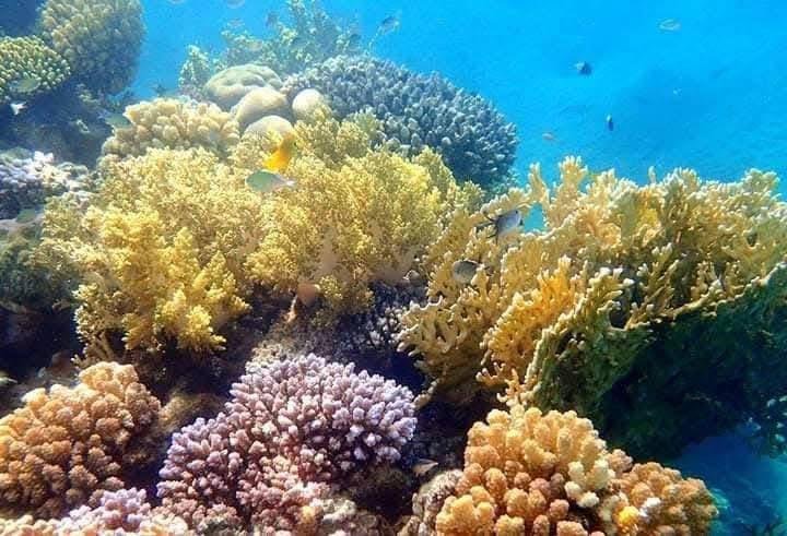 WhatsApp Image 2025-11-25 at 5.56.30 PM (1)