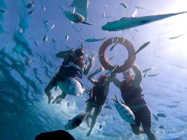 WhatsApp Image 2025-11-25 at 5.56.30 PM (4)