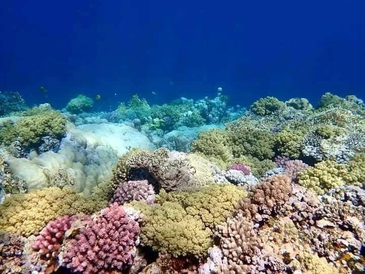 WhatsApp Image 2025-11-25 at 5.56.31 PM (2)