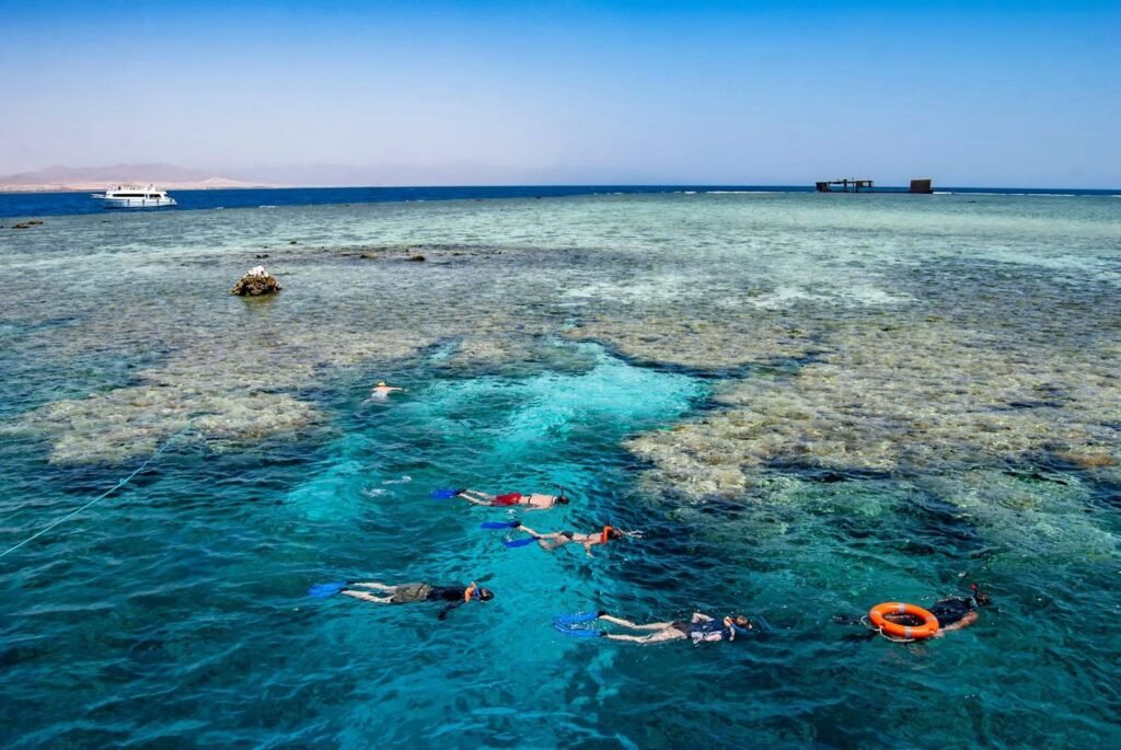 WhatsApp Image 2025-11-25 at 6.27.07 PM