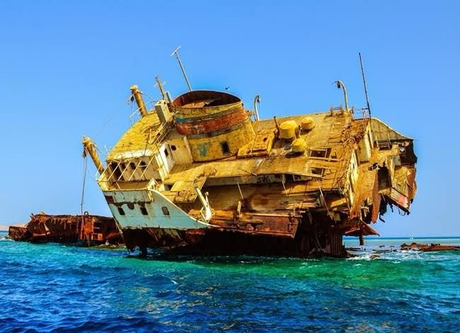 WhatsApp Image 2025-11-25 at 6.27.57 PM