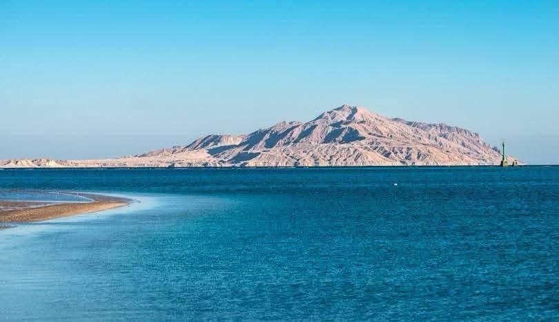 WhatsApp Image 2025-11-25 at 6.29.34 PM (1)