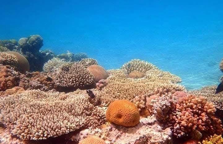 WhatsApp Image 2025-11-25 at 7.43.47 PM (1)