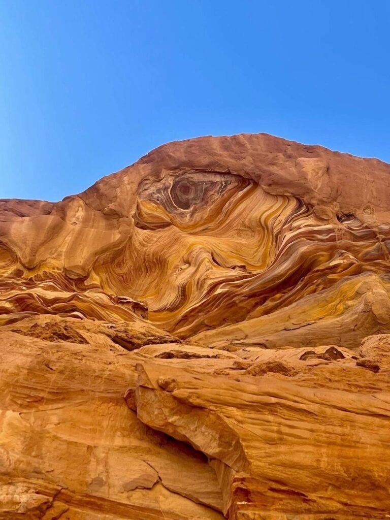 WhatsApp Image 2025-11-25 at 7.43.48 PM