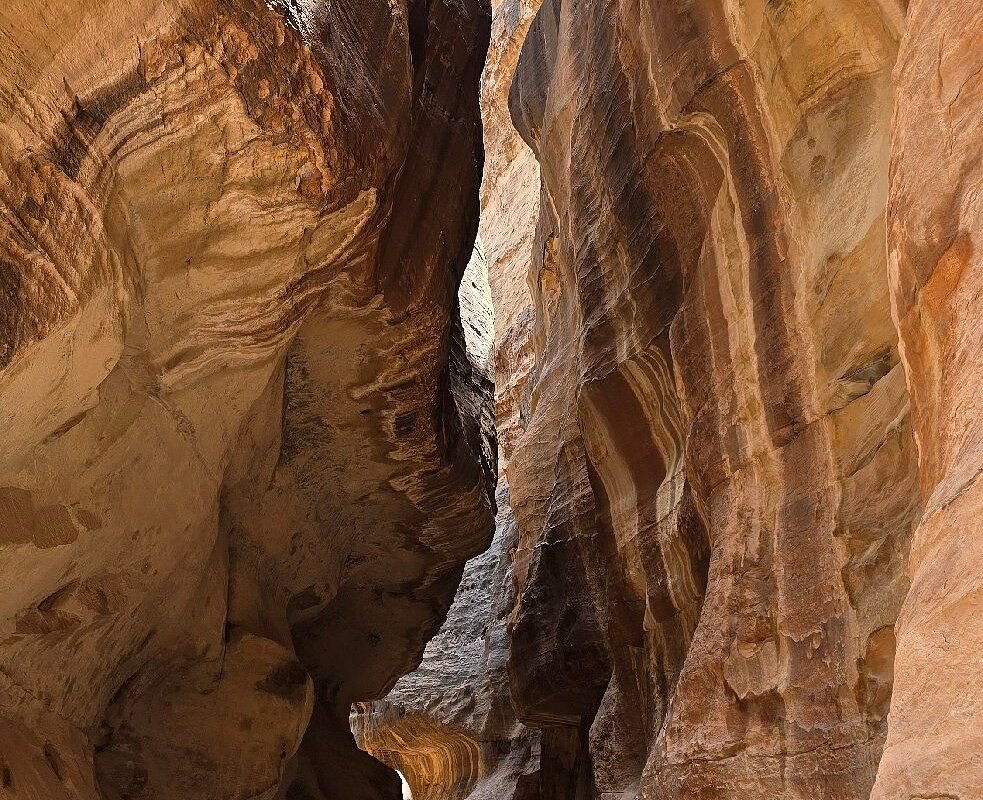 WhatsApp Image 2025-11-25 at 7.51.51 PM