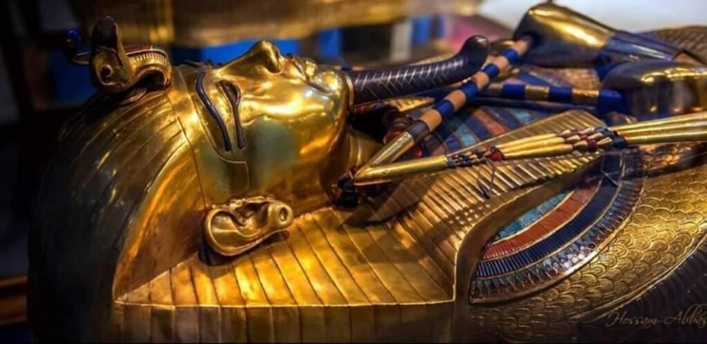 WhatsApp Image 2025-11-26 at 1.11.17 AM (3)