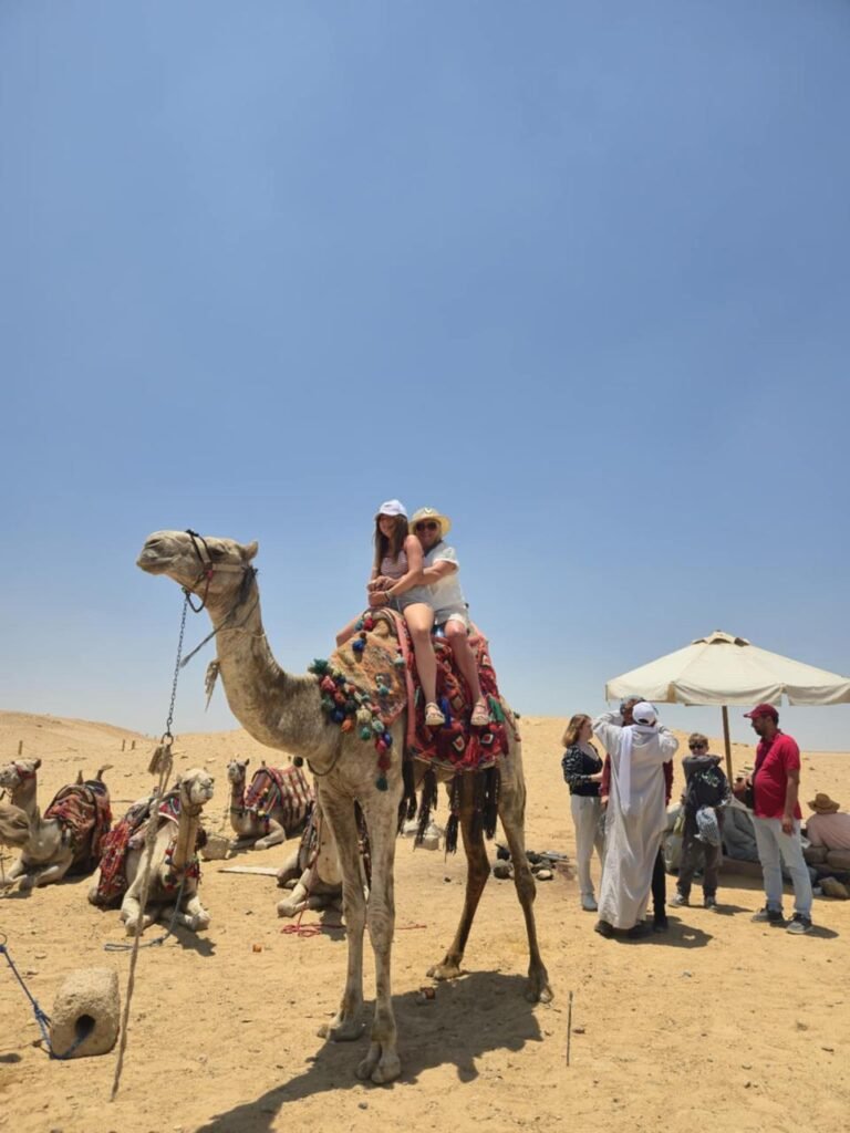 WhatsApp Image 2025-11-26 at 1.33.50 AM (1)