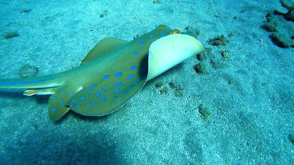 WhatsApp Image 2025-11-27 at 2.03.21 AM (4)