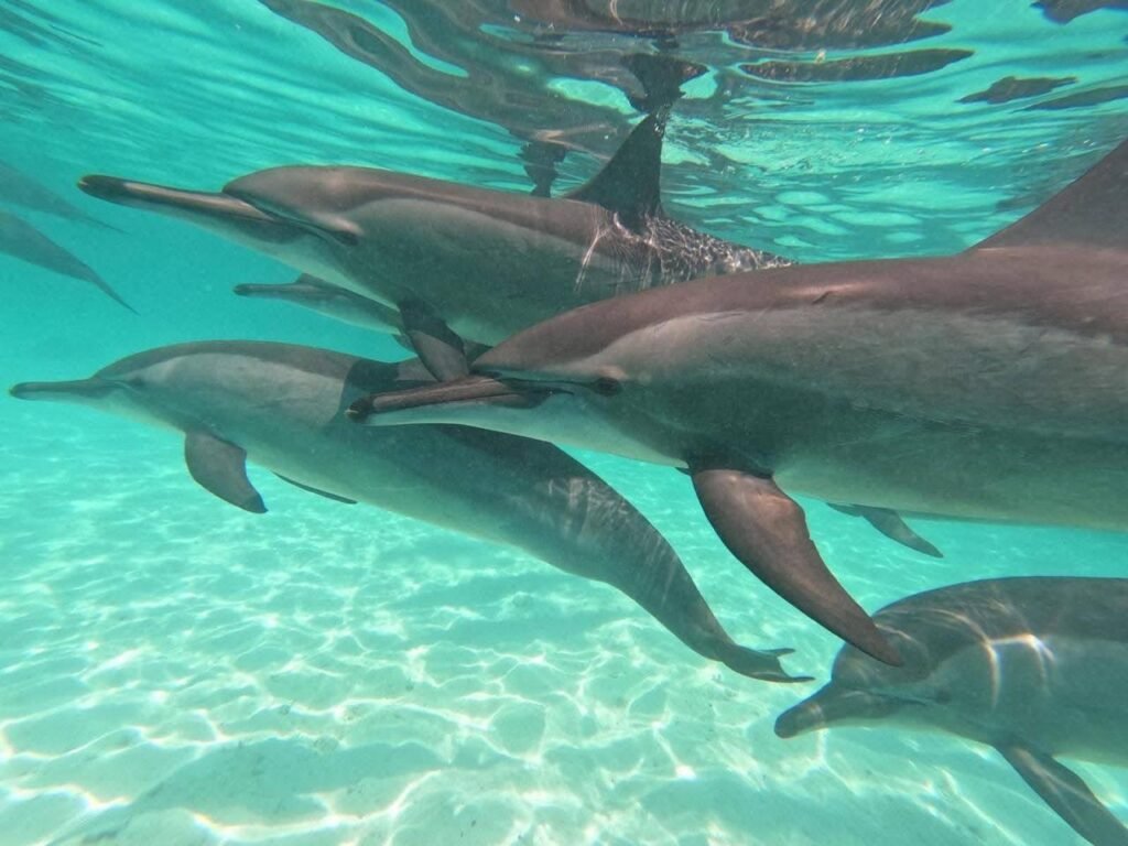 WhatsApp Image 2025-11-27 at 2.03.23 AM