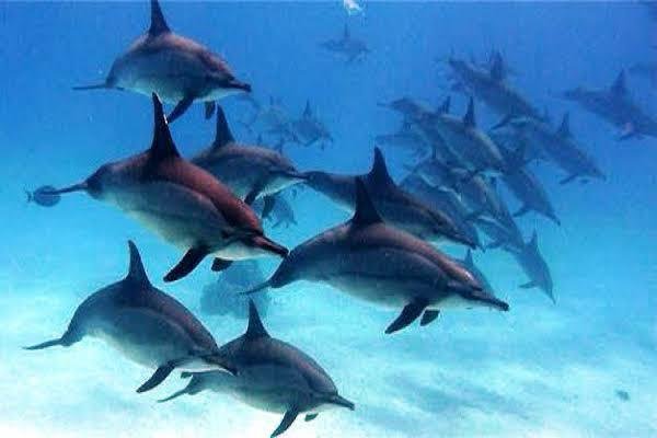 WhatsApp Image 2025-11-27 at 2.03.23 AM (2)