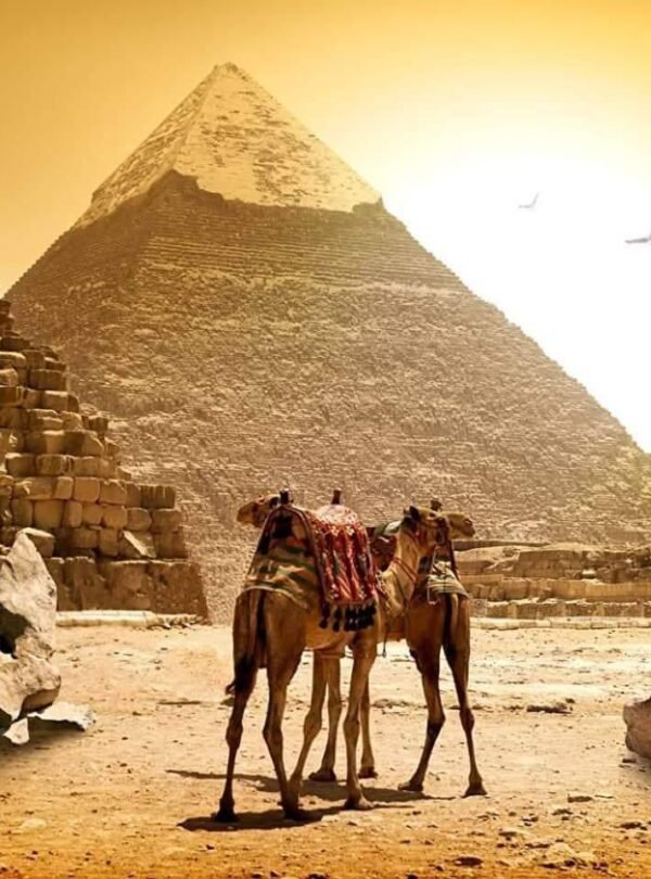 WhatsApp Image 2025-11-30 at 3.45.26 PM