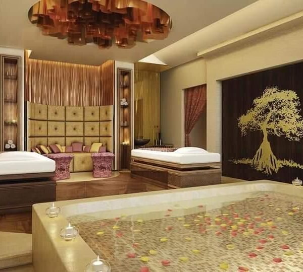 WhatsApp Image 2025-11-30 at 3.48.19 PM