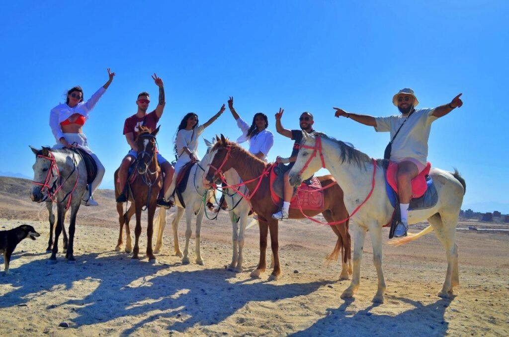 WhatsApp Image 2025-11-30 at 3.53.47 PM (2)